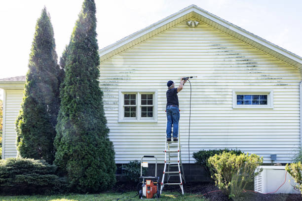 Best Pressure Washing Driveway  in Bowling Green, MD